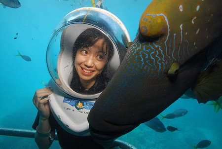 Sunlover Reef Cruises - Stayed 0