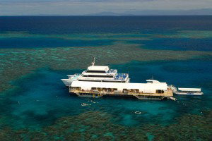Sunlover Reef Cruises - Stayed 2