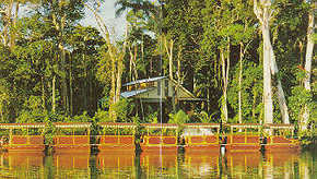Daintree Rainforest River Trains - Stayed 3