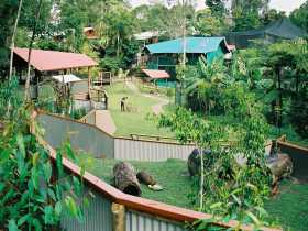 Kuranda Koala Gardens - Stayed 1