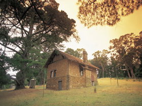 Heysen - The Cedars - Stayed 0