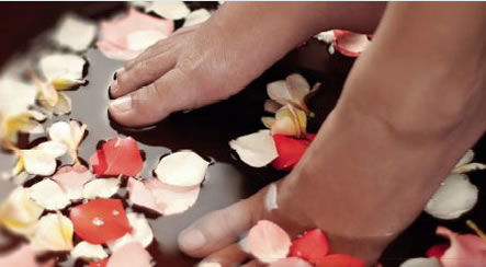 Universal Body - Stayed 1