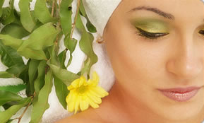 Indica Spa - Stayed 1