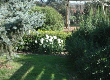 The Old Cheese Factory - Stayed 2