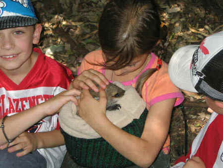 Koala Park Sanctuary - Stayed 3