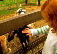 Collingwood Children's Farm - Stays Accommodation