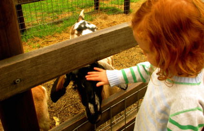 Collingwood Children's Farm - Stays Accommodation 0