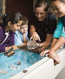 The Rocks Discovery Museum - Stays Accommodation 3