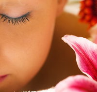 Temple Skincare - Stayed