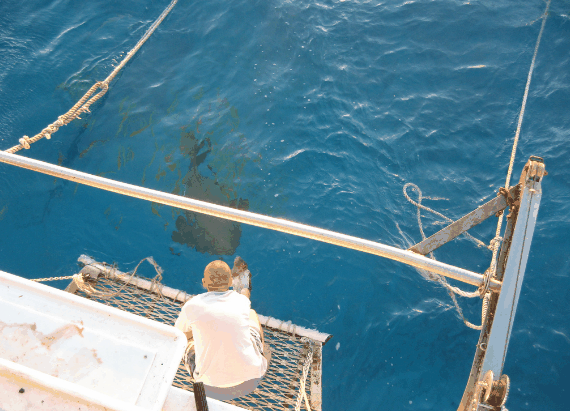 Carlo Fishing Charters - Stayed 4