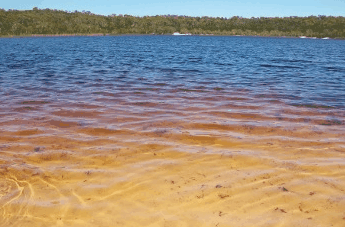 Beach Trekkers North Stradbroke Island - Stayed 1