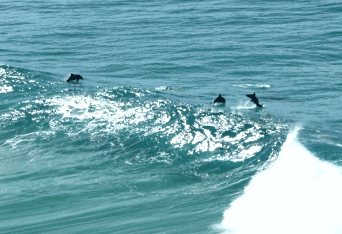 Beach Trekkers North Stradbroke Island - Stayed 2
