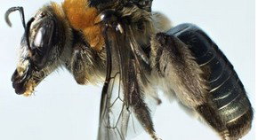 Perth City WA Stayed