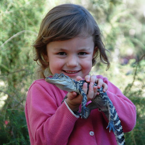 Australian Reptile Park - Stayed 2