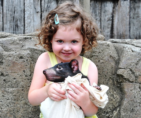 Australian Reptile Park - Stayed 8