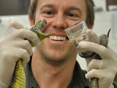 Australian Reptile Park - Stayed 9