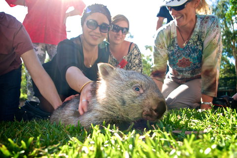 Australian Reptile Park - Stayed 10