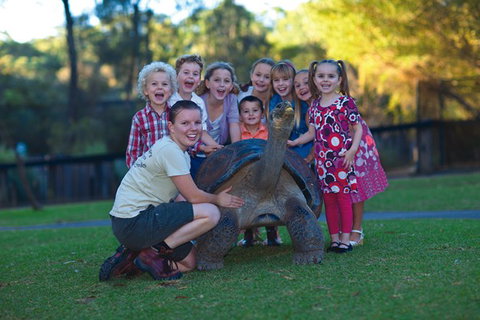 Australian Reptile Park - Stayed 11