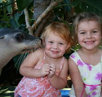 Dolphin Marine Magic - Stayed