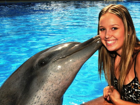 Dolphin Marine Magic - Stayed 3