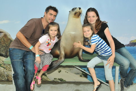 Dolphin Marine Magic - Stayed 6