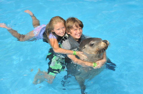 Dolphin Marine Magic - Stayed 9