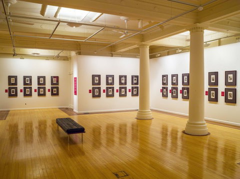 Cairns Regional Gallery - Stayed 2