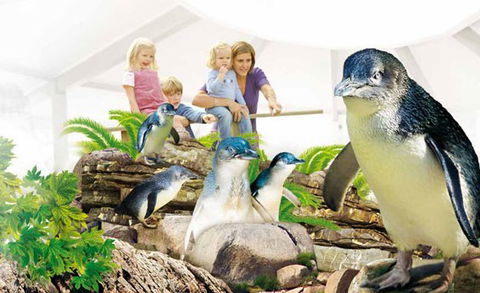 Manly SEA LIFE Sanctuary - Stayed 1
