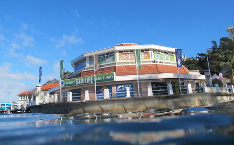 Manly SEA LIFE Sanctuary - Stayed 2