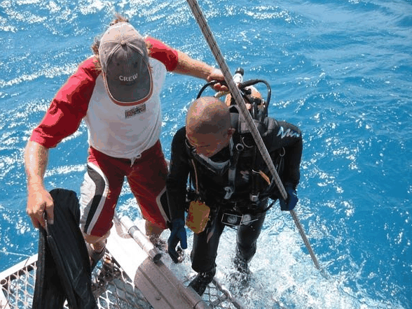 Big Cat Reality - Stayed 2