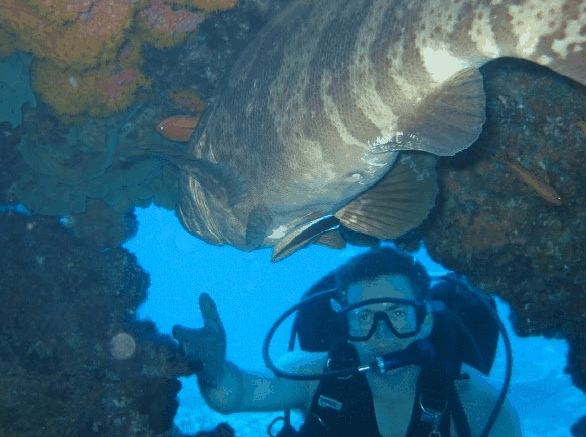 Big Cat Reality - Stayed 4