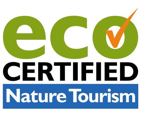 Aquascene Fish Feeding Sanctuary - Stayed 4