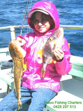 Bravo Fishing Charters - Stayed 5