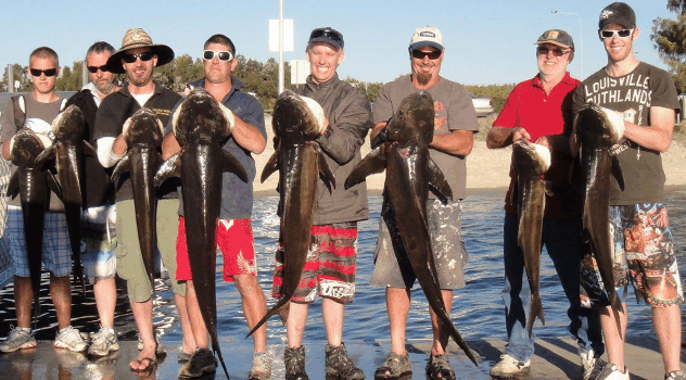 BKs Gold Coast Fishing Charters - Stays Accommodation 1