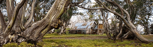 High Country Scenic Tours - Stayed