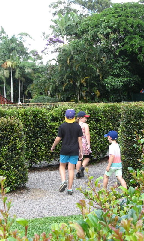 Bellingham Maze - Stayed 2
