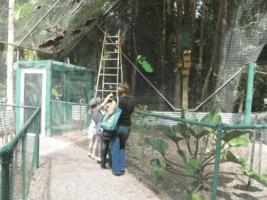 Bellingham Maze - Stayed 7