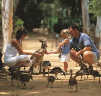 Billabong Sanctuary - Stayed