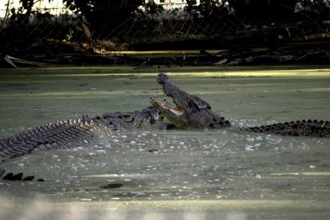 Billabong Sanctuary - Stayed 3