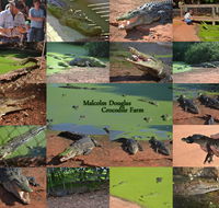 The Malcolm Douglas Crocodile Park - Stayed