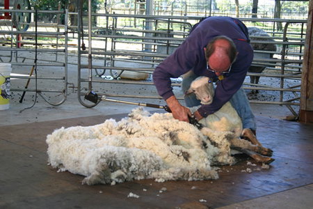 Caversham Wildlife Park - Stayed 3