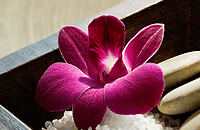 Blush Beauty Saloons - Stayed 4