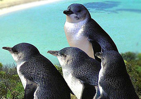 Rockingham Wild Encounters - Stayed 0