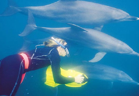 Rockingham Wild Encounters - Stayed 1