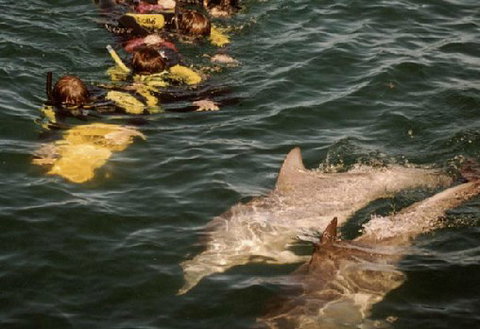 Rockingham Wild Encounters - Stayed 2