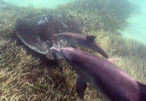 Rockingham Wild Encounters - Stayed 3