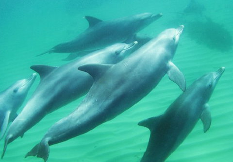 Rockingham Wild Encounters - Stayed 4