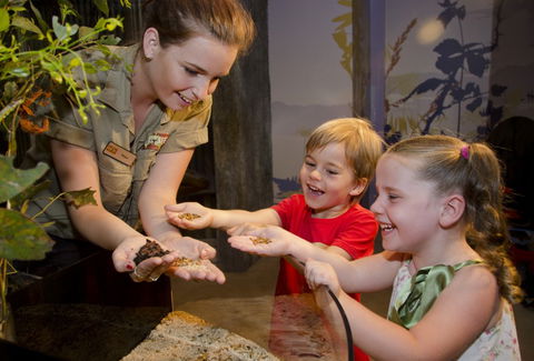 WILD LIFE Sydney Zoo - Stays Accommodation 1