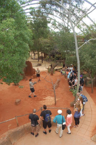 WILD LIFE Sydney Zoo - Stays Accommodation 2