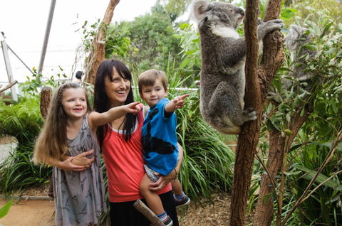 WILD LIFE Sydney Zoo - Stays Accommodation 3